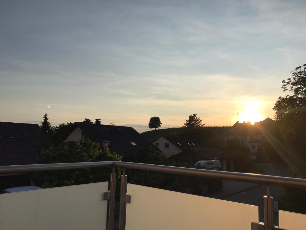 Seebrise Mit Musik Und Wein Meersburg